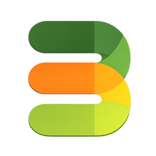BudgetSnap logo